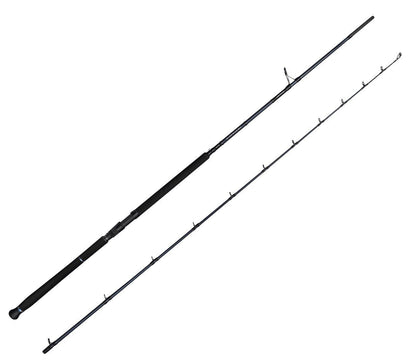 Savage Gear Defiance SG2 Shore Jig 3.05m 30-100gr 2 Parça Olta Kamışı