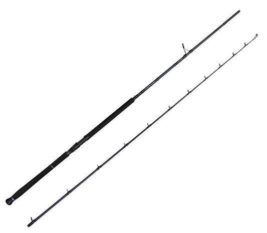 Savage Gear Defiance SG2 Shore Jig 3.05m 30-100gr 2 Parça Olta Kamışı